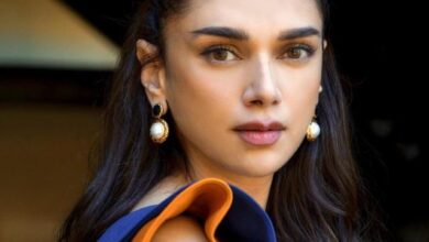 Aditi Rao Hydari and Siddharth Suryanarayan Are they dating Find out what the actress said