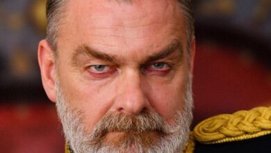 Versatile Actor Ray Stevenson Died at 58