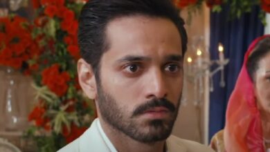 Tere Bin Last Episode Release Date and Time The Finale of the Hit Pakistani Drama