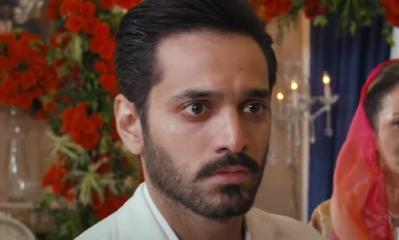 Tere Bin Last Episode Release Date and Time The Finale of the Hit Pakistani Drama