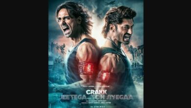 Crakk Box Office Collection Day 3, Worldwide Collection