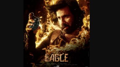 Eagle Movie Box Office Collection Day 16