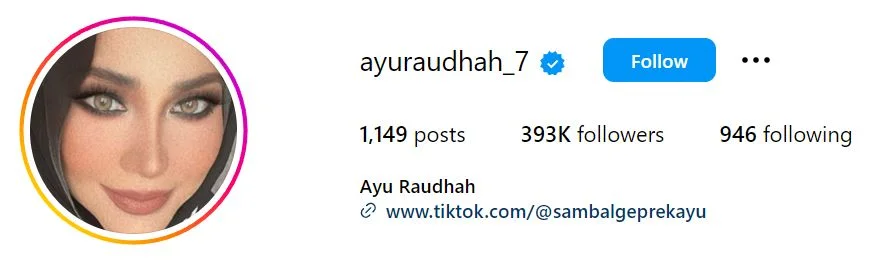 Ayu Raudhah's Instagram