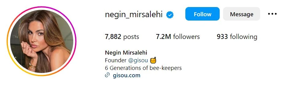 Negin Mirsalehi's Instagram