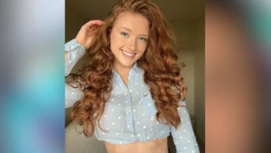Phoebeisginger