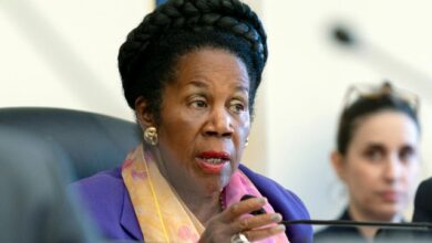 Sheila Jackson Lee