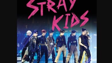 Stray Kids