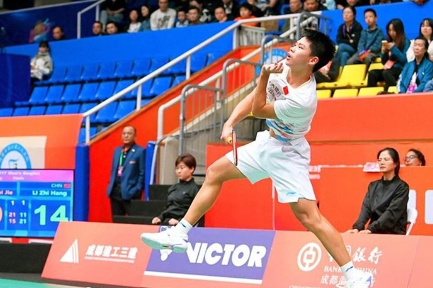 Zhang Zhi Jie career