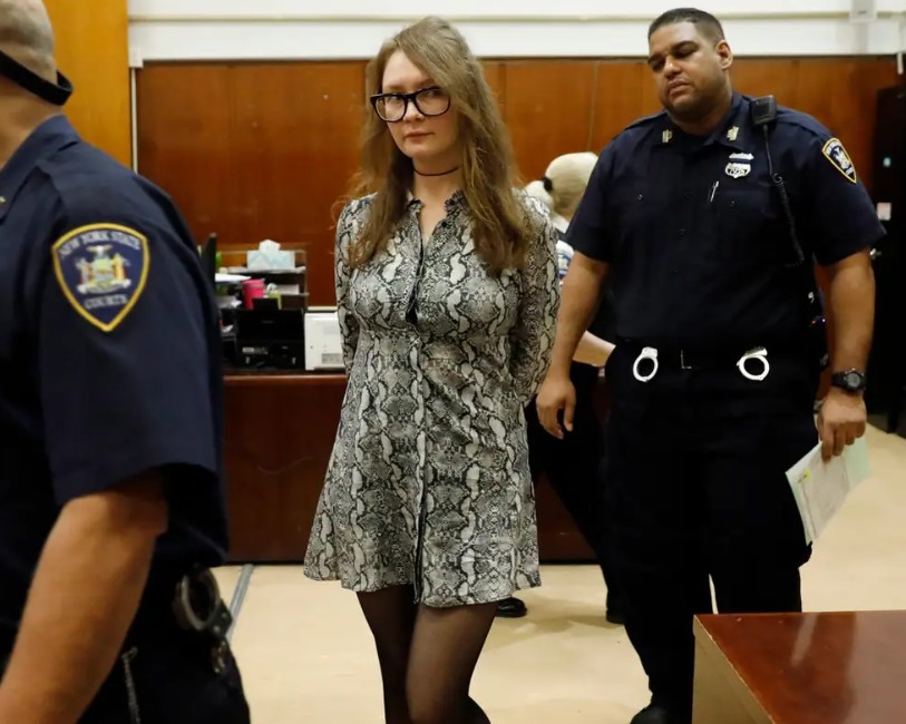 Anna Delvey arrest