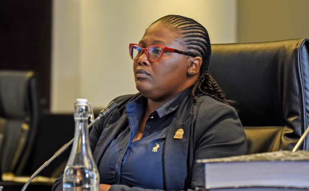 Andiswa Mengo