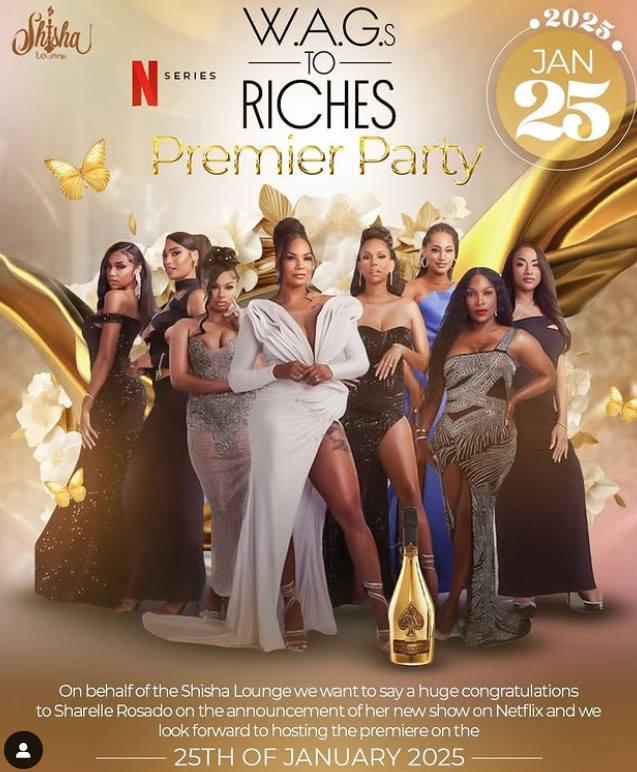 Ashley Nicole career