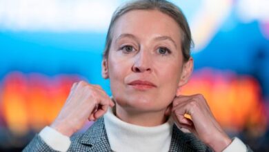 Alice Weidel