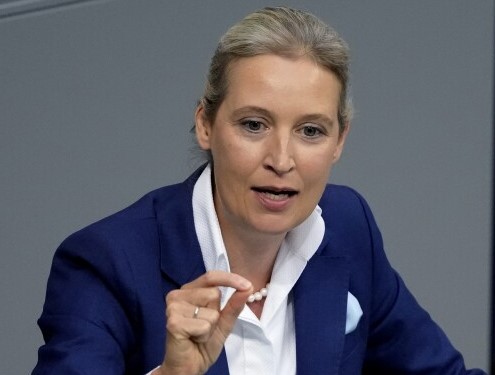 Alice Weidel bio