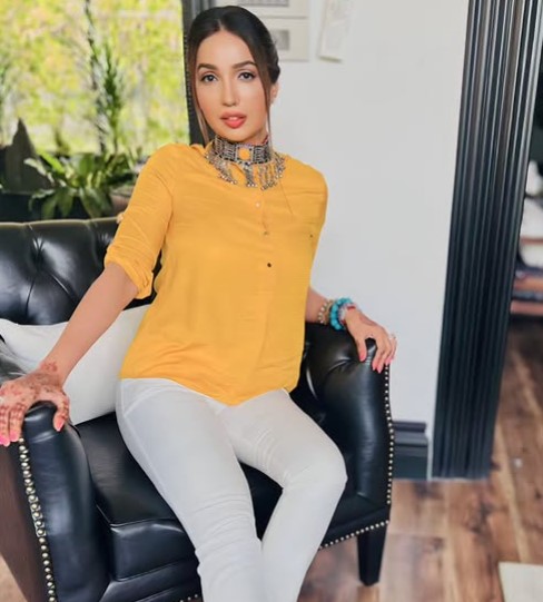 Kanika Dhillon net worth