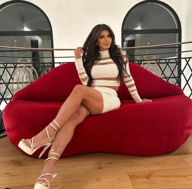 Teresa Giudice net worth