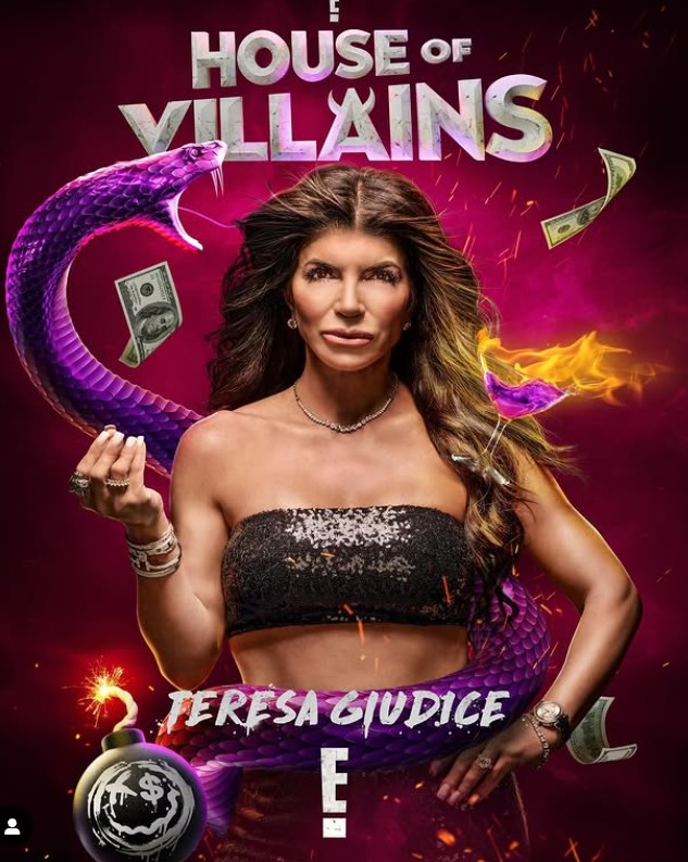 Teresa Giudice profession