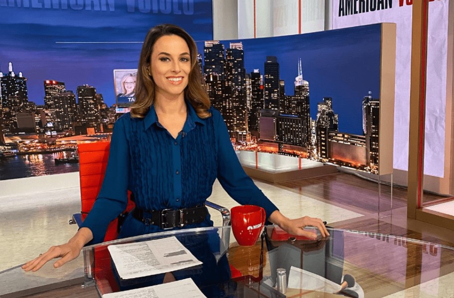 Alicia Menendez profession