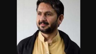 Saleem Safi
