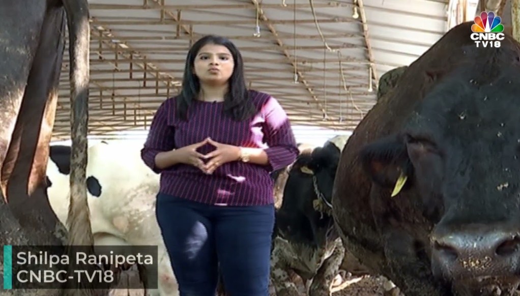 Shilpa Ranipeta profession