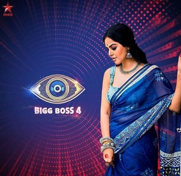Monal Gajjar participated in Bigg Boss
