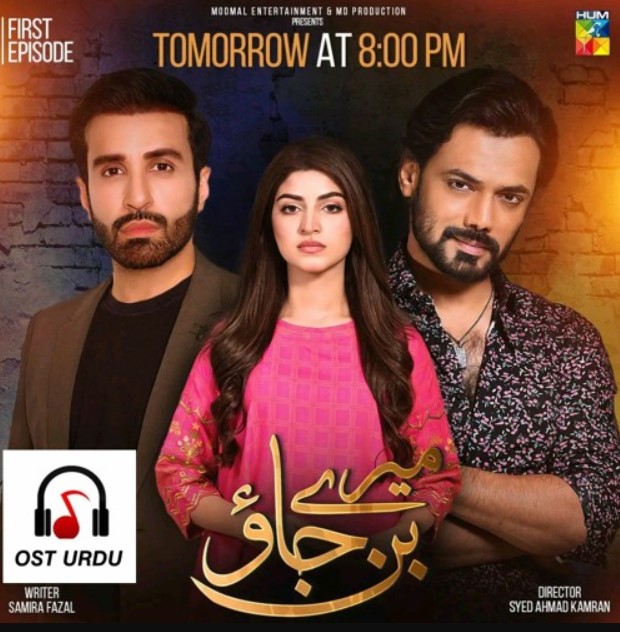 Maheen Siddiqui profession