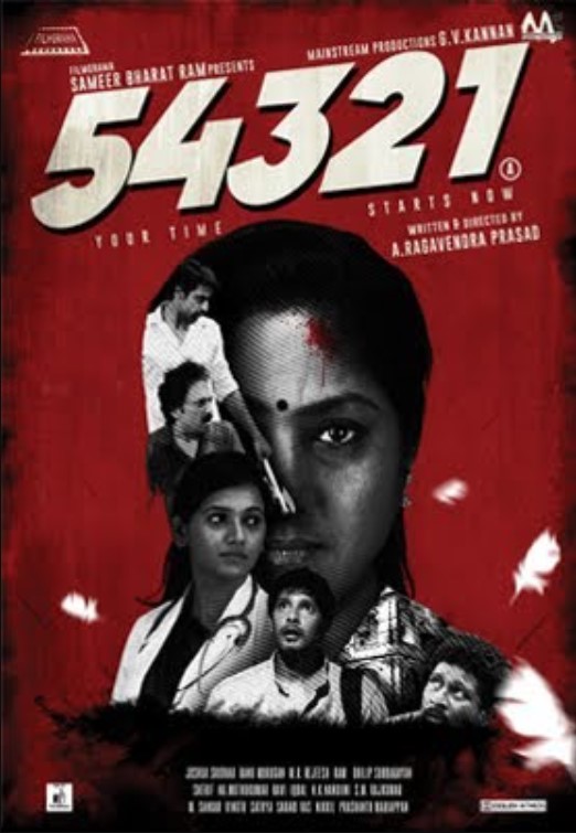 Pavithra Gowda profession