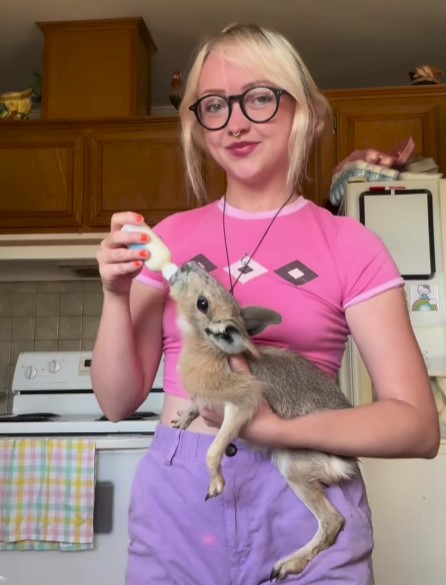 Aleah Lynn wiki