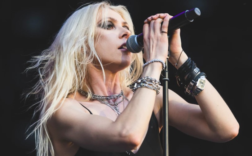 Taylor Momsen career