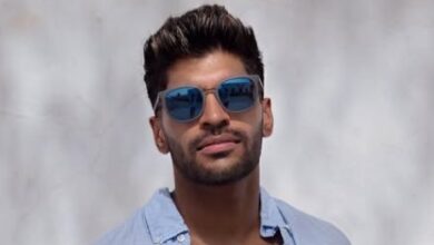 Neel Wanders