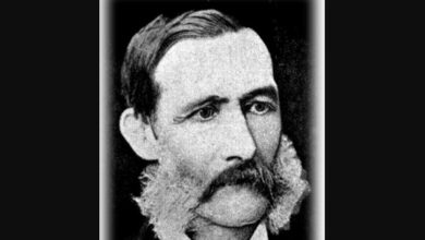 Dietrich Brandis