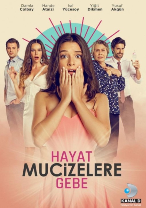 Burcu Binici career
