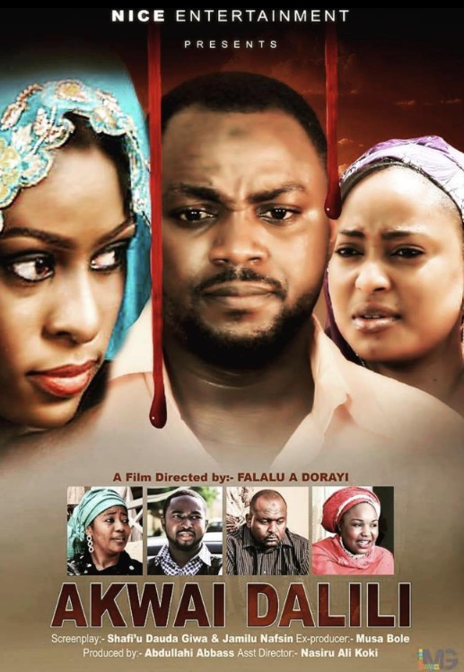 Nafisat Abdullahi profession