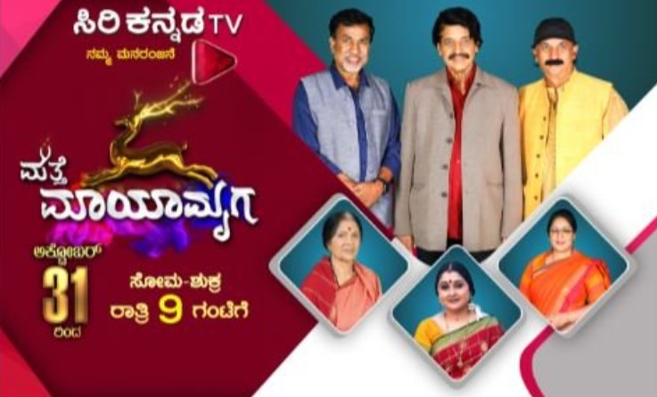 Divyashree Sullia career