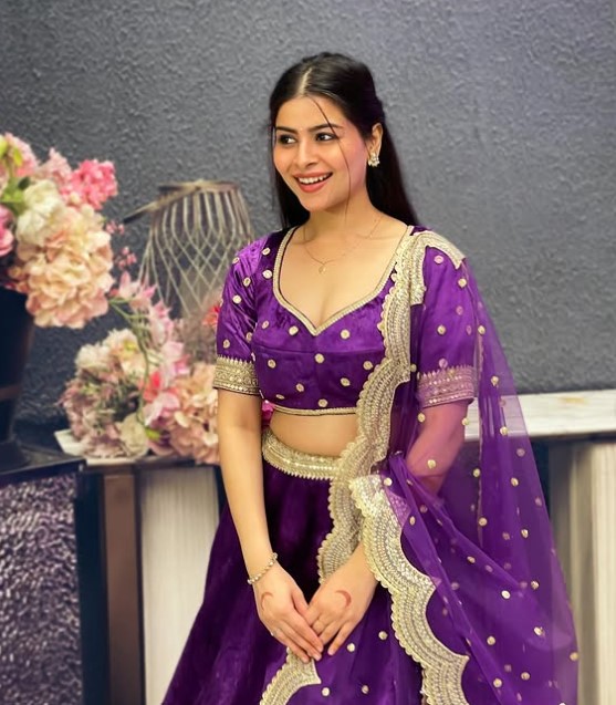Himani Thapliyal wiki