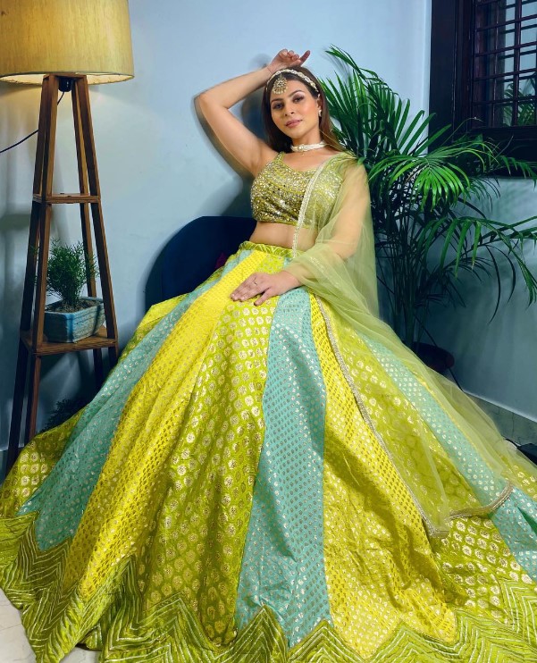Himani Thapliyal wikipedia